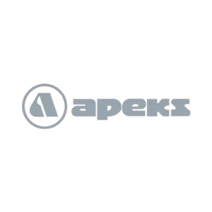 Logo Apeks