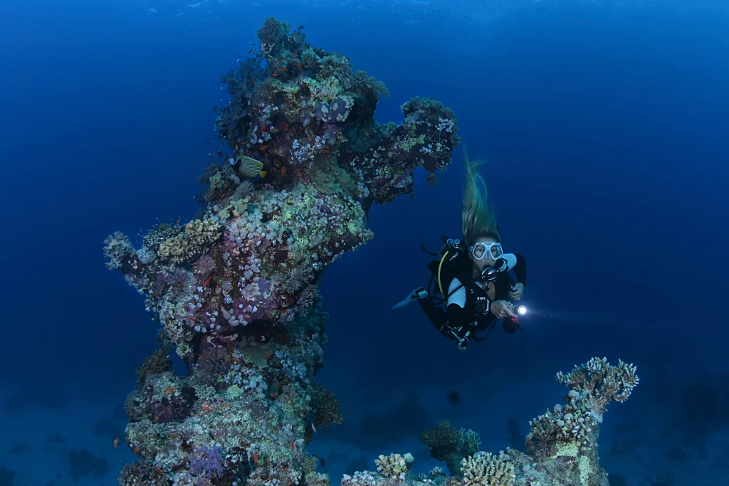 plongeur longe le corail