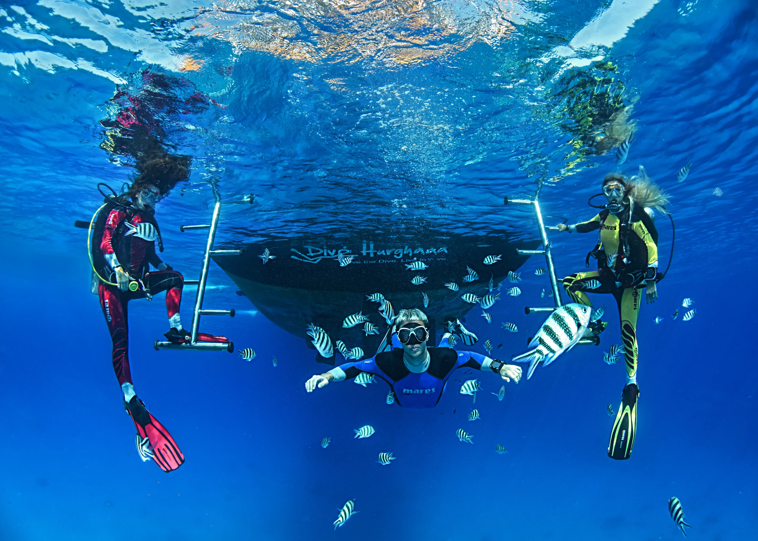 La plongée sous-marine et ses bienfaits : Découvrez les merveilles du monde sous-marin