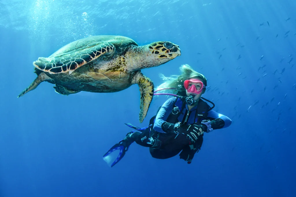 plongeur avec une tortue