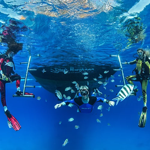 La plongée sous-marine et ses bienfaits : Découvrez les merveilles du monde sous-marin